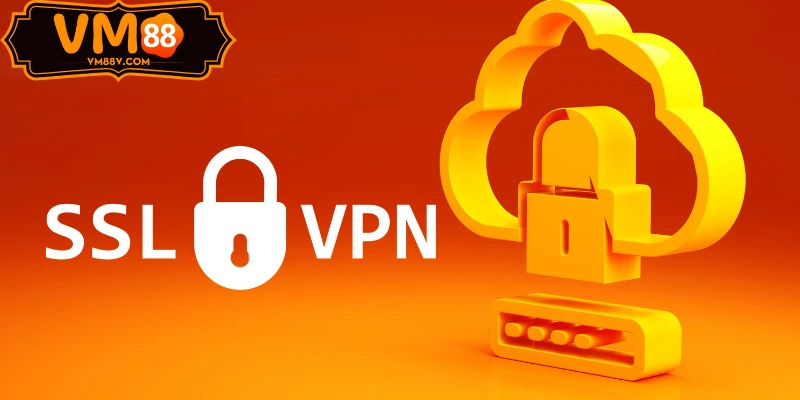 Nguyên tắc cốt lõi chính sách VM88