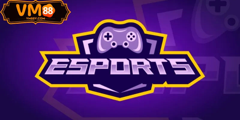 TF Esports Kèo Highlander VM88